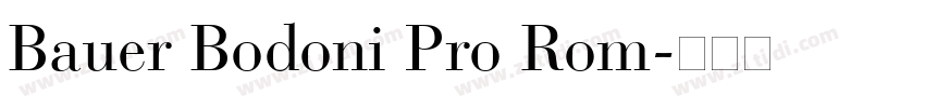 Bauer Bodoni Pro Rom字体转换